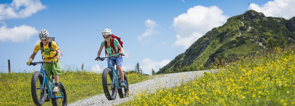 klickpedale mtb anfänger BOLANY Rennradpedale, SPD-SL Pedale Fahrrad Gedichtete Lager Nylon Leichtgewicht-Pedale kompatibel mit Shimano SPD-SL Cleats für Outdoor- und Indoor-Radfahren (9/16 Zoll) Sport & Freizeit Color:Grey Ash uvex city stride MIPS American Jerseys